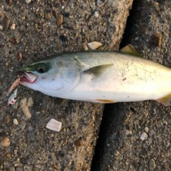 高砂の朝は熱い!