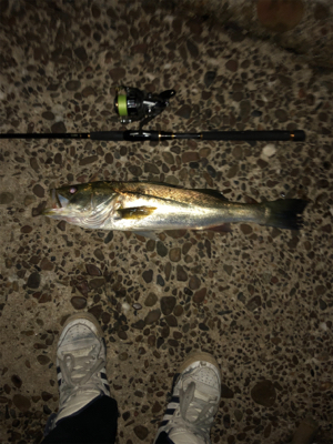 涼しくなったので