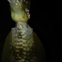 プチ地合いは突然に*\(^o^)/*