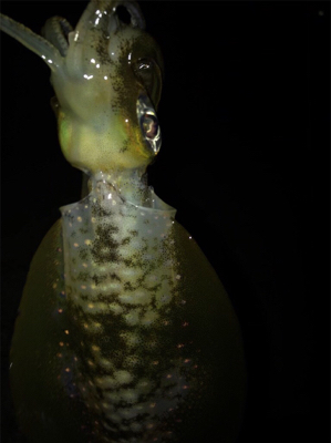 プチ地合いは突然に*\(^o^)/*