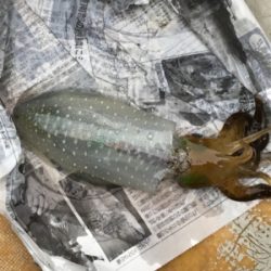 レンタルボート