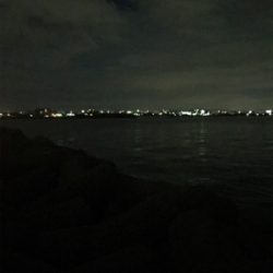 連日アオリGET (^^)/