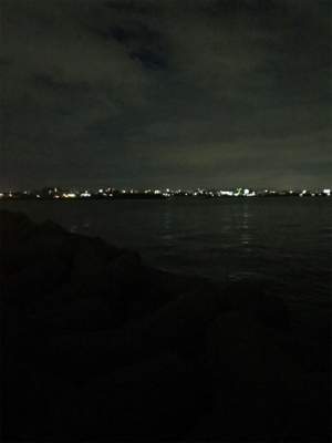 連日アオリGET (^^)/