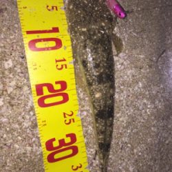 サーフフィッシング