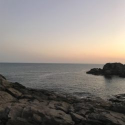 久々のショアジギング