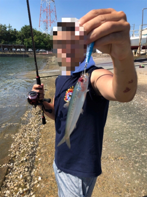 たまたまシーバス