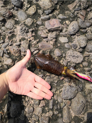 嫁の実家帰りついでに。