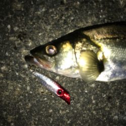 秋めいてきましたね！