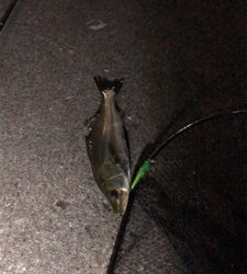 会社の駐車場で…