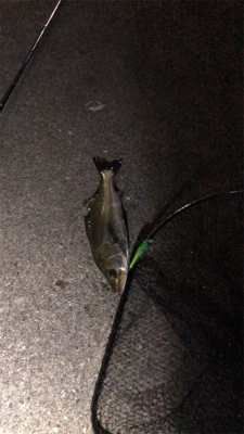 会社の駐車場で…