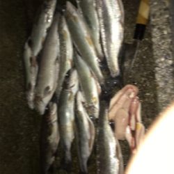 加賀フィシングエリア