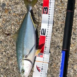 お月見からの〜ツバス