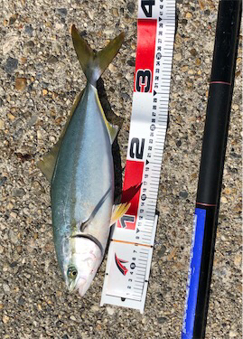 お月見からの〜ツバス