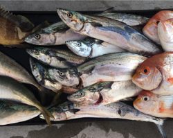 二人でボートジギング