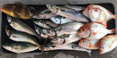 二人でボートジギング