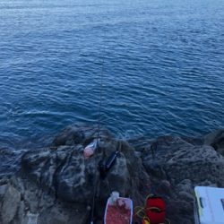 グレフカセ釣り