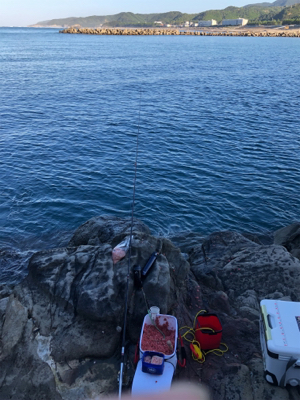 グレフカセ釣り