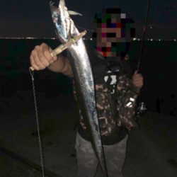 タチウオ爆釣!!