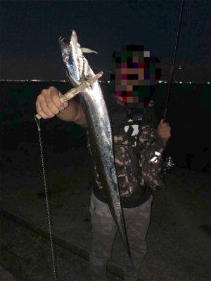 タチウオ爆釣!!