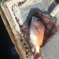 初島沖で船釣り