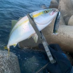 朝まづめのショアジギング