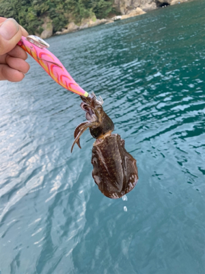 爆風のマイボートエギング