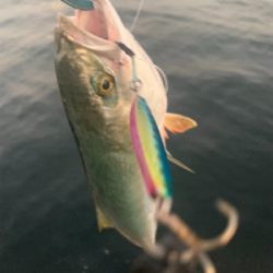 爆釣、されど、娘に完敗！