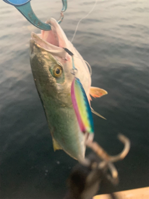 爆釣、されど、娘に完敗！