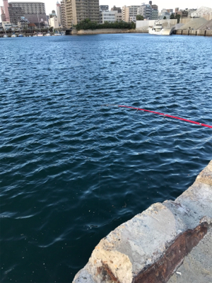 ファミリーフィッシング