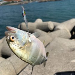 メッキフィーバー