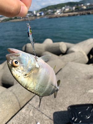 メッキフィーバー