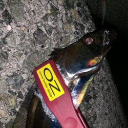 どうにかなった。