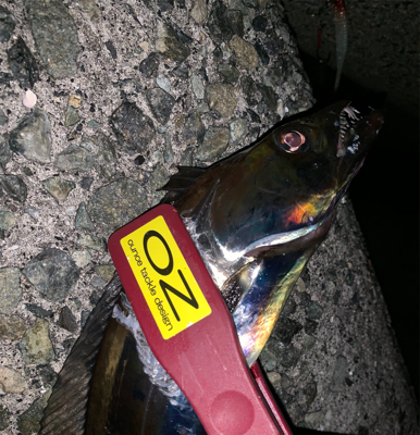 どうにかなった。