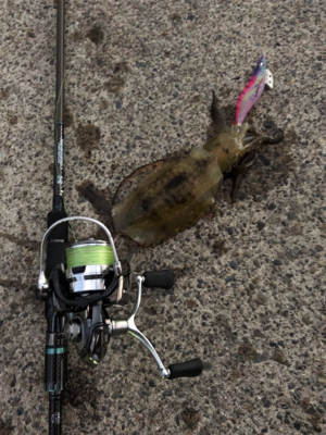 追い風を背に受けて!届け女神様♡