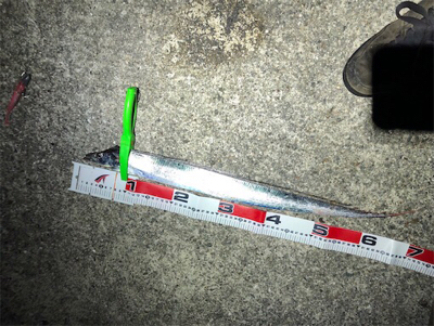 連チャンポーアイ沖堤