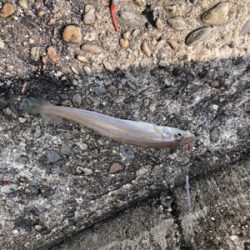 切り替えるのも大事かも