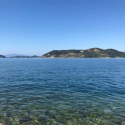 今期初エギング