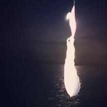 エギング釣行その43