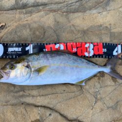 キロアップ含む3杯