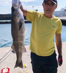 スズキ来たァ～⤴︎︎⤴︎︎