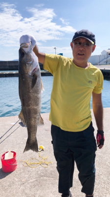 スズキ来たァ～⤴︎︎⤴︎︎