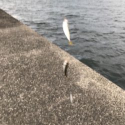 爆風ジグサビキ