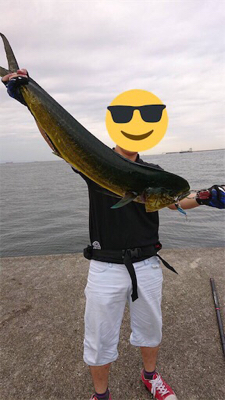 青物が渋い代わりにシイラとタチウオ!