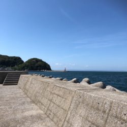 青物を釣りたい…