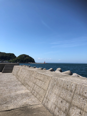 青物を釣りたい…