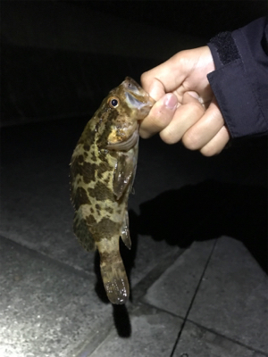 ナイトライトゲーム