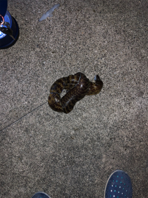 アザシでの打ち込み