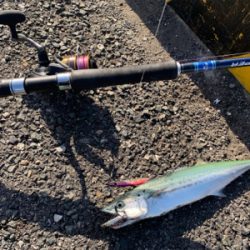 遠征ショアジギング