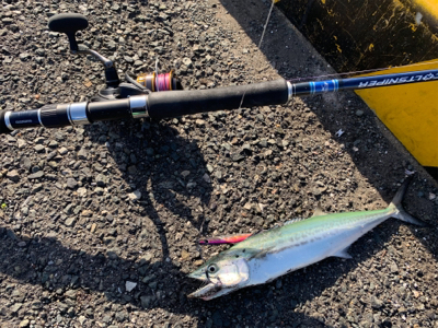 遠征ショアジギング