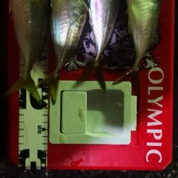 アジング練習20